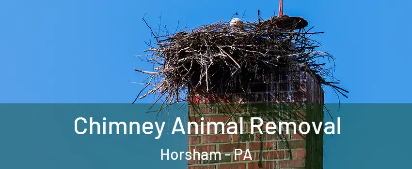  Chimney Animal Removal Horsham - PA