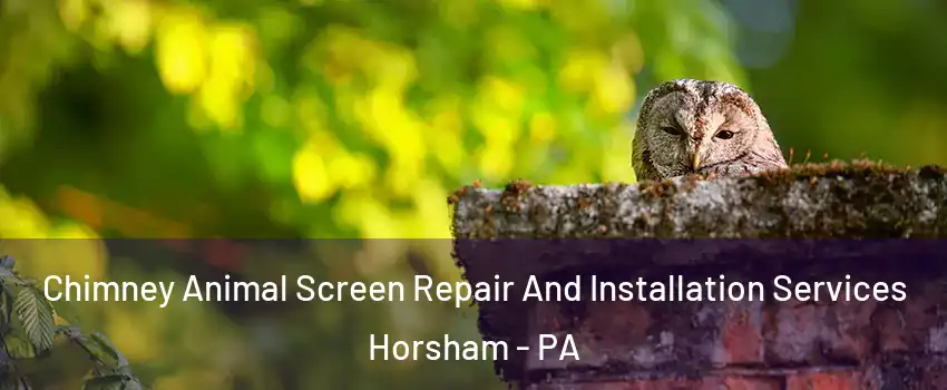  Chimney Animal Screen Repair And Installation Services Horsham - PA