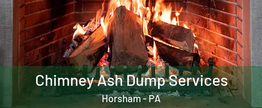  Chimney Ash Dump Services Horsham - PA