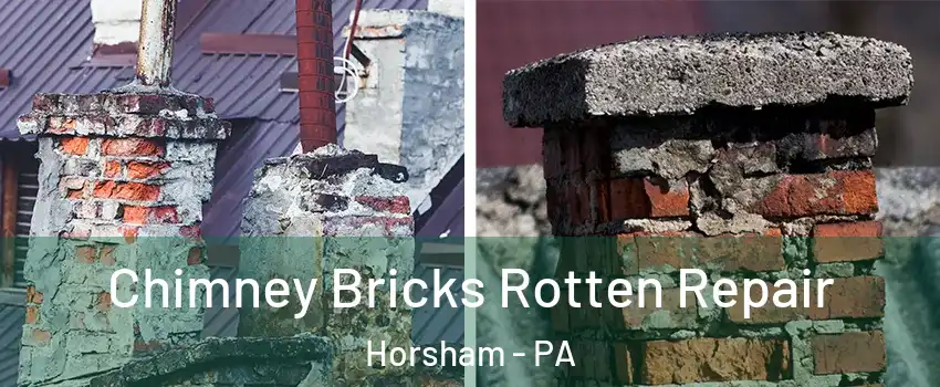  Chimney Bricks Rotten Repair Horsham - PA