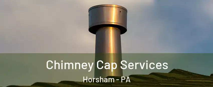  Chimney Cap Services Horsham - PA