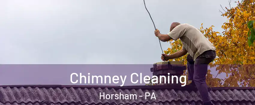  Chimney Cleaning Horsham - PA