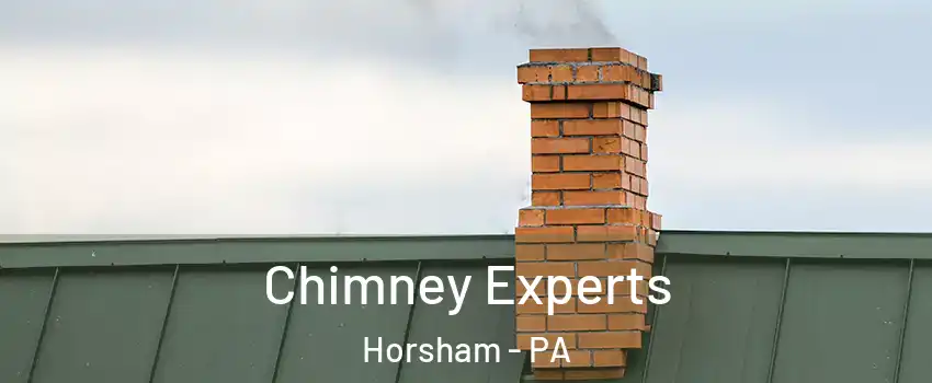  Chimney Experts Horsham - PA