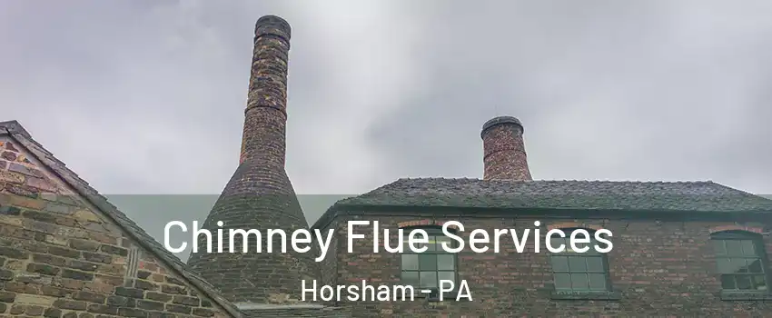  Chimney Flue Services Horsham - PA