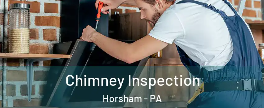  Chimney Inspection Horsham - PA