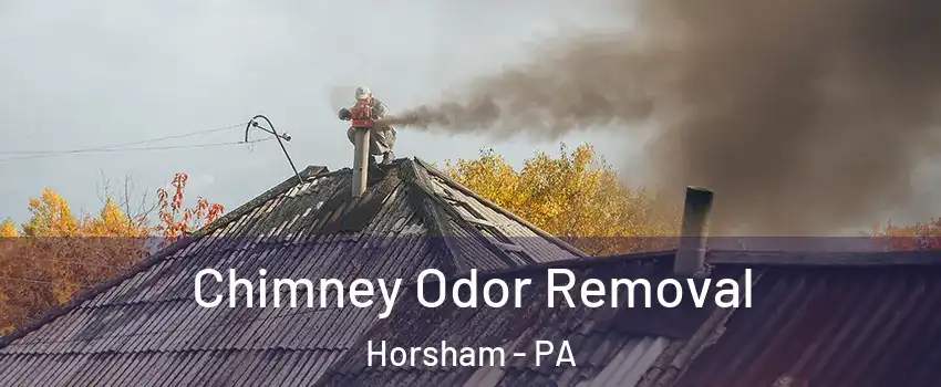  Chimney Odor Removal Horsham - PA