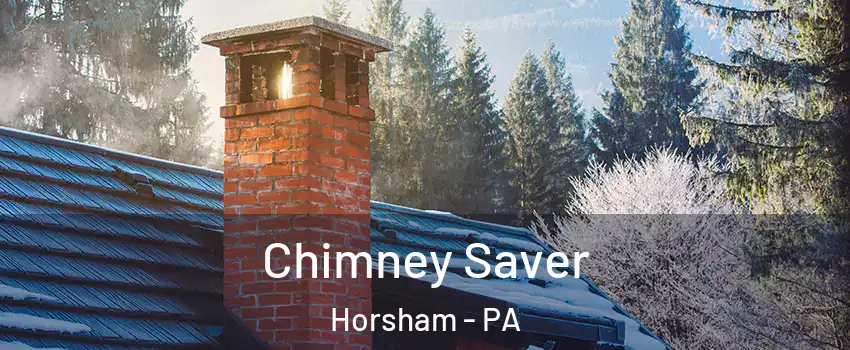  Chimney Saver Horsham - PA