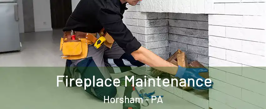  Fireplace Maintenance Horsham - PA