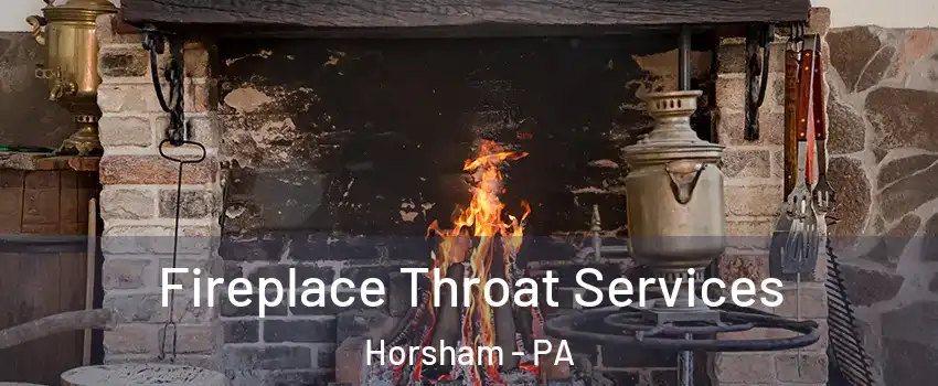  Fireplace Throat Services Horsham - PA