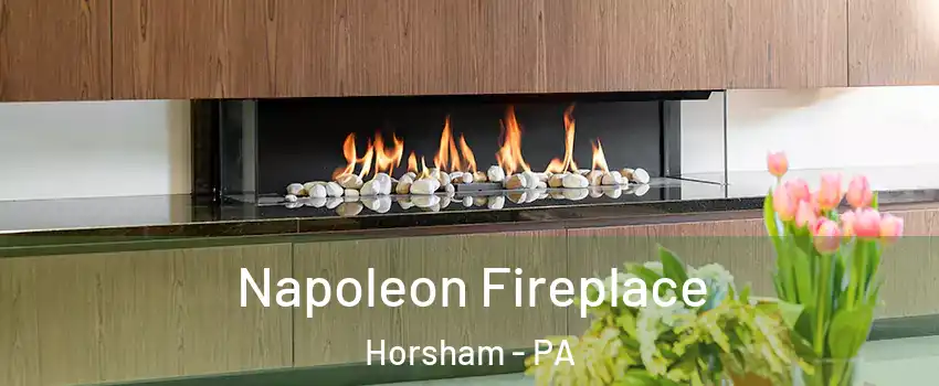  Napoleon Fireplace Horsham - PA