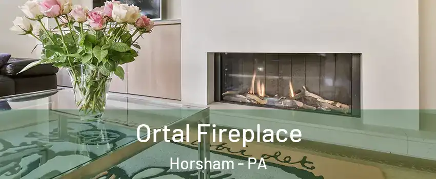  Ortal Fireplace Horsham - PA